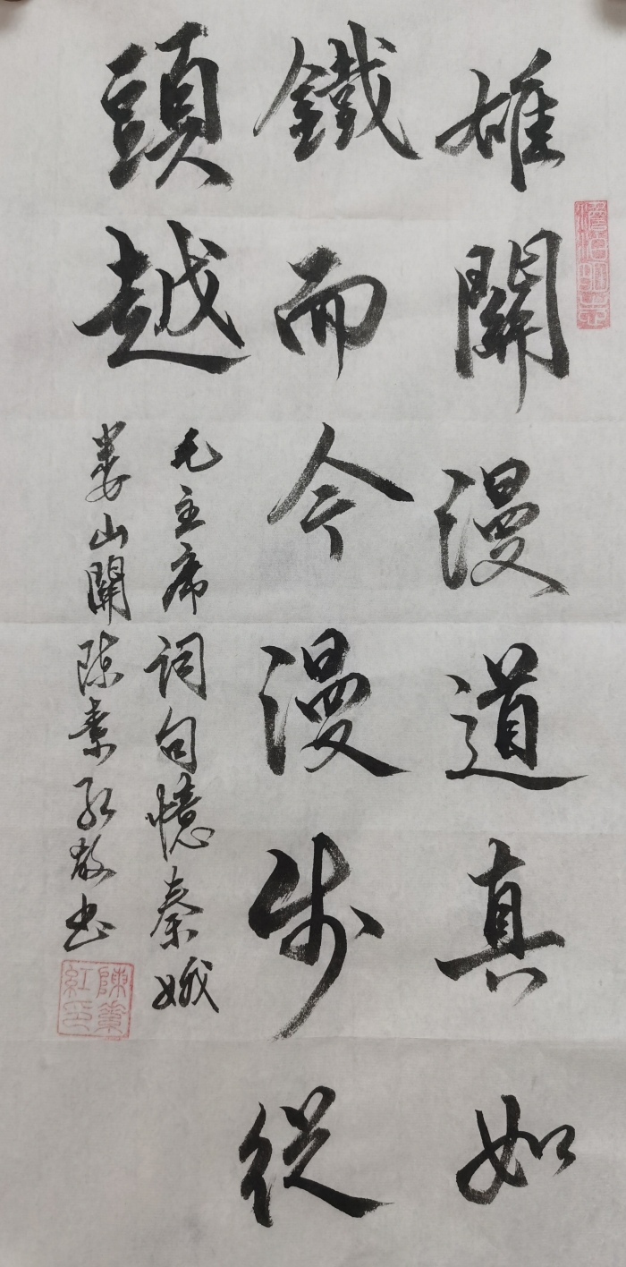 6陈素红 雄关漫道真如铁,而今漫步从头越.jpg