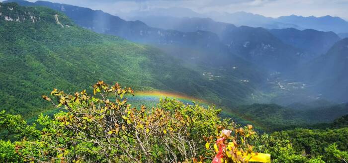 07张胜利 雨后彩虹.jpg